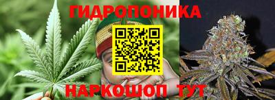 Альфа ПВП Будённовск