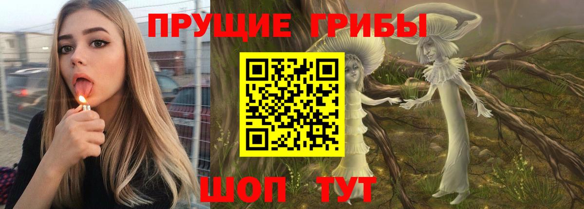 Псилоцибиновые грибы мицелий Нижний Тагил